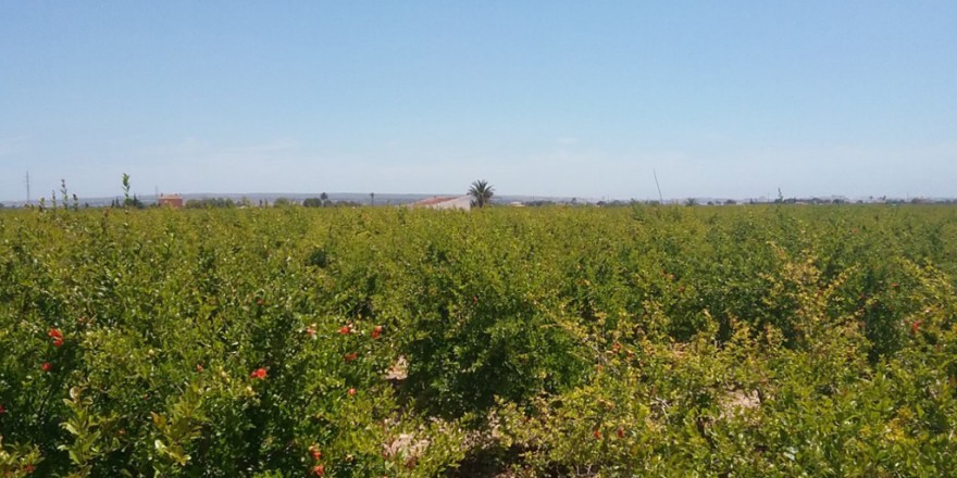 uitzicht-1-casa-del-campo-alicante