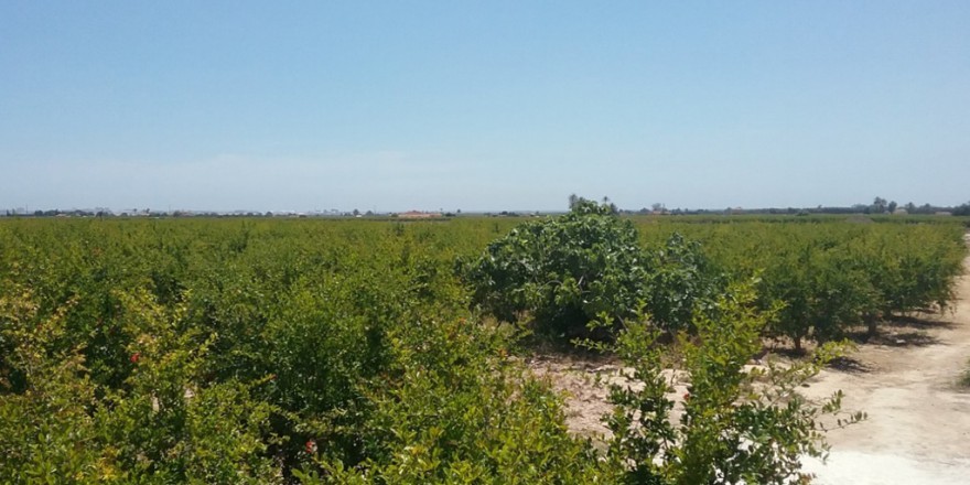 uitzicht-2-casa-del-campo-alicante